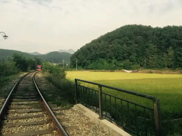 통일